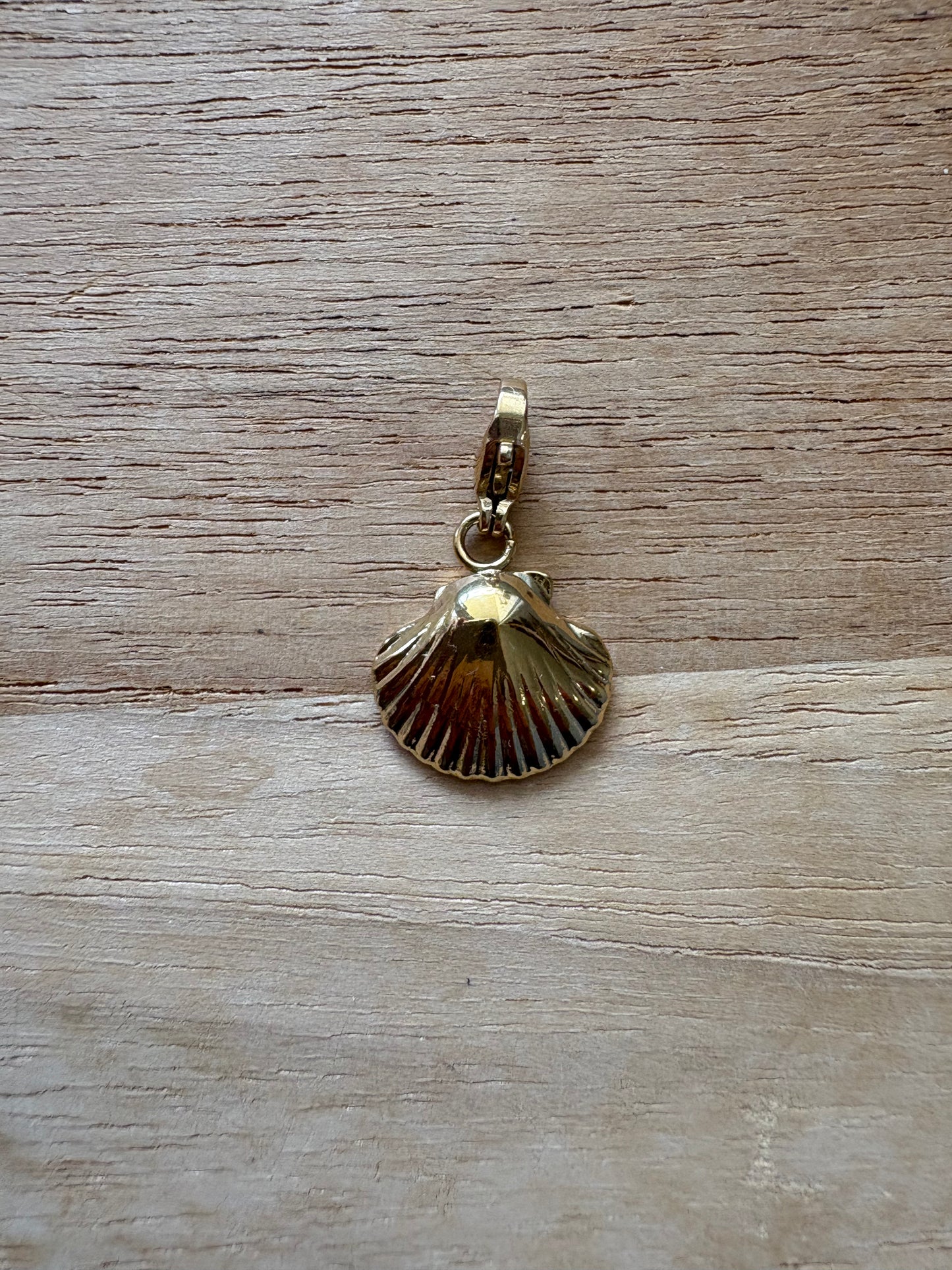 Charm’s coquille saint Jacques