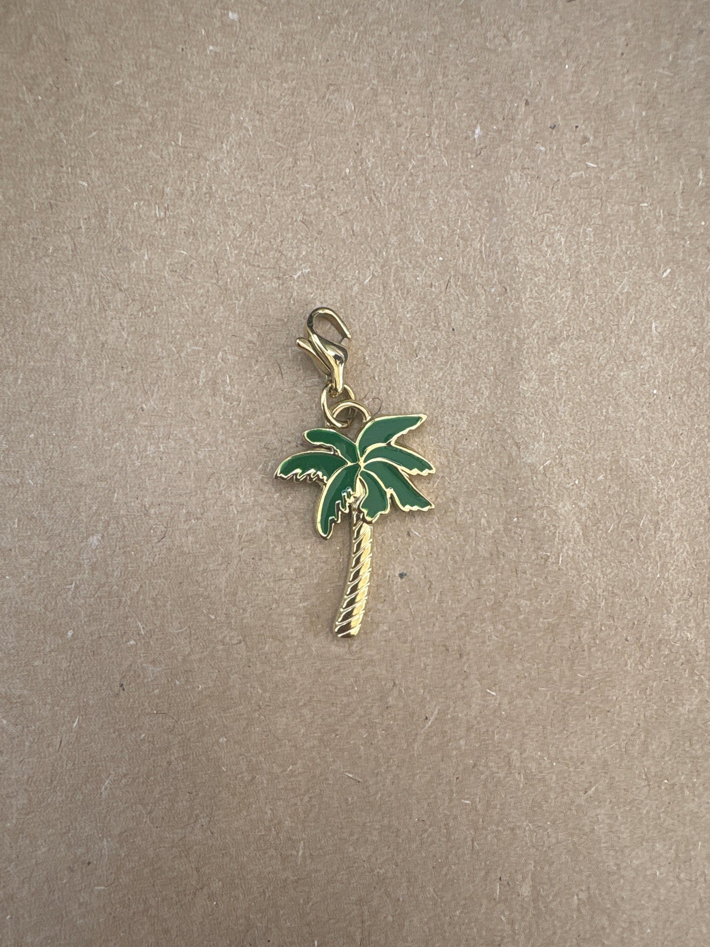 Charm palmier