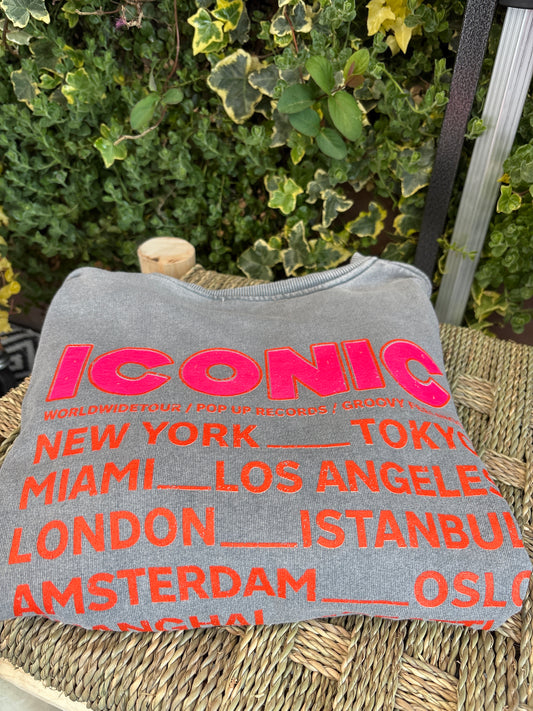 Pull iconic gris