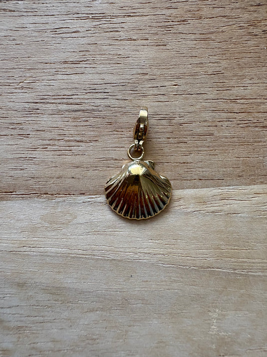 Charm’s coquille saint Jacques
