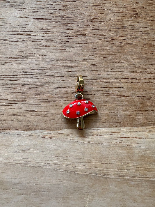 Charm’s champignon