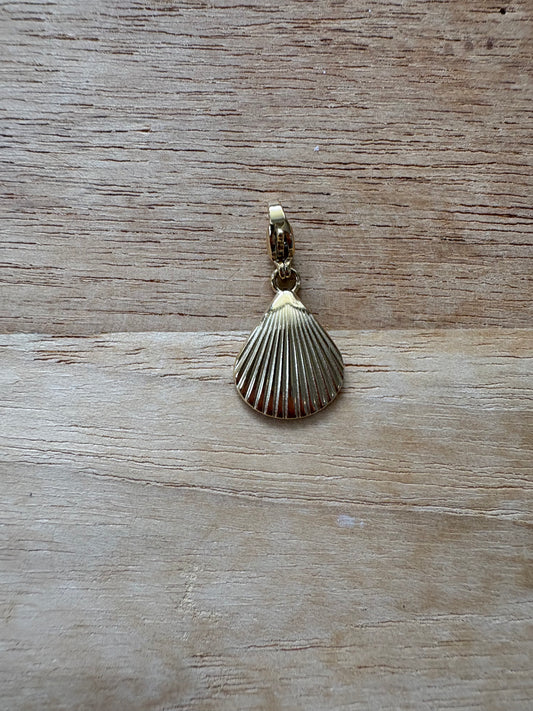 Charm’s coquillage