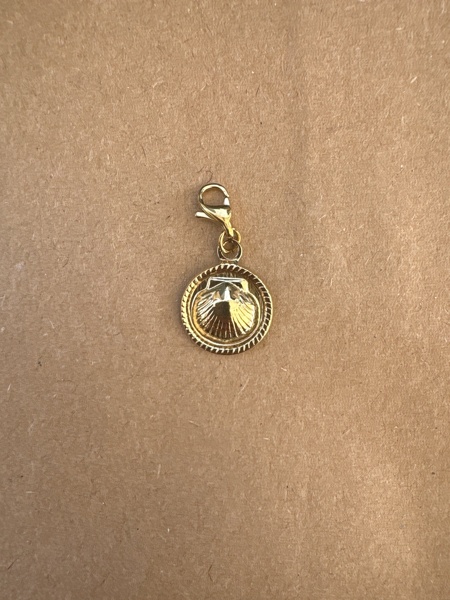 Charm coquillage 2