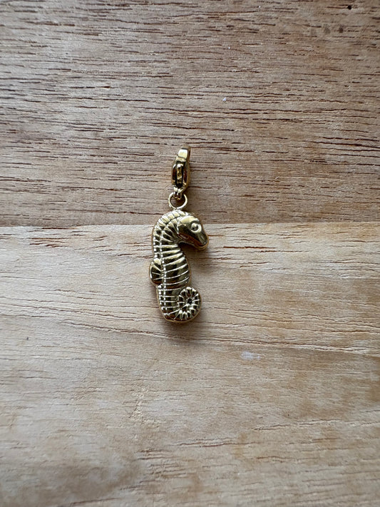Charm’s hippocampe