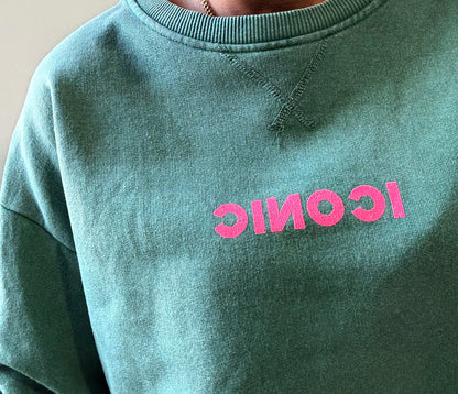 Pull iconic vert